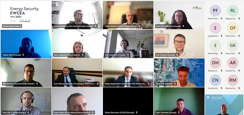 Zaslonski posnetek videkonference delovnega srečanja EUROSAI WGEA, na katerem so vidni udeleženci, ki so se srečanja udeležili na daljavo prek spleta