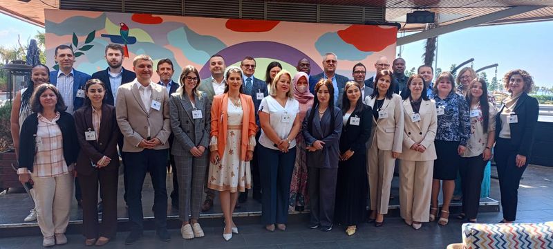 Skupinska fotografija udeležencev delavnice o orodju SAI PMF, organizirane pod okriljem IDI, pred slikovitim ozadjem v Istanbulu.