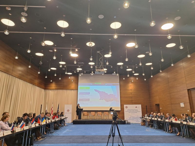 Na fotografiji je prikazan konferenčni prostor, v katerem poteka srečanje delovne skupine EUROSAI za lokalno samoupravo (WGMA). Ob dolgi mizi na obeh straneh sedijo udeleženci iz različnih držav, kar označujejo majhne zastavice na mizah. V ospredju je govornica, ki stoji pred projekcijskim zaslonom in predstavlja vsebino s pomočjo zemljevida Gruzije. Osvetlitev v prostoru je moderna, z mnogimi visečimi lučmi na stropu.
