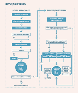 Prikaz revizijskega postopka
